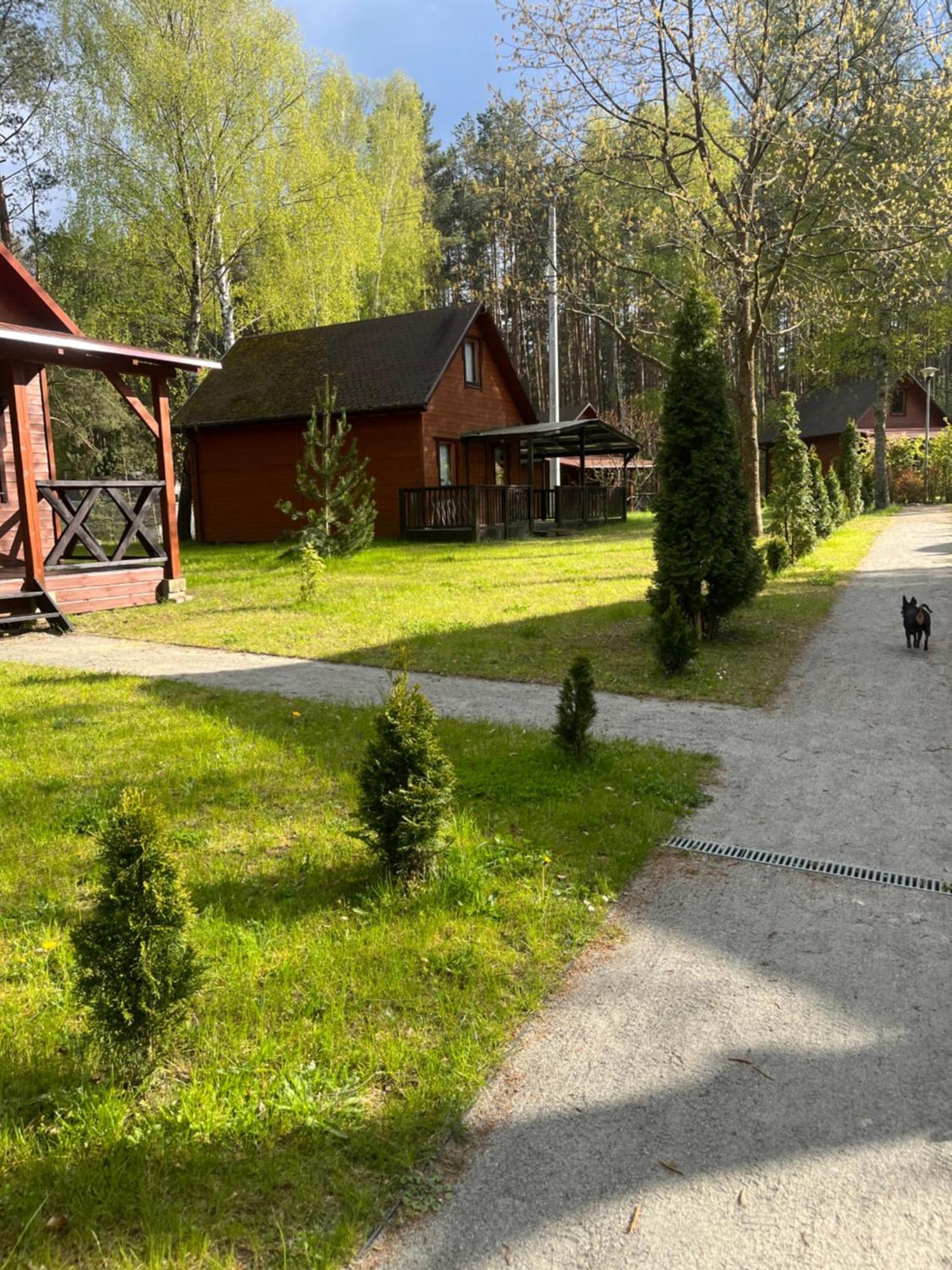 Domki Letniskowe Nad Jeziorem Kazub Cieciorka Exteriör bild